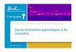 De la mutation génétique à la maladie - UNIL - UNIL … · Syndrome de l’X fragile, analyse par PCR 32 De la mutation génétique à la maladie Monica J. Basehore1 et al., 2009