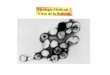 Virologie Médicale 2 Virus de la Rubéolesovietik67.free.fr/Cours/Viro/Viro Med 2 - Rubéole.pdf · ont une action neutralisante et protectrice et peuvent être mis en évidence