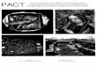 PACT and Biological Techniques Applied to · PDF fileMosaics and the Alexandrian Style, Cambridge Mass, 1957 ; stèles de Cyrène, cf. A. ROUVERET, Catalogue des stèles du musée