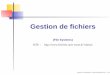 Gestion de ﬁchiers - univ-orleans.fr · Deux visions d’un système de ﬁchiers Point de vue de l’utilisateur: nommage des ﬁchiers, protection et droit d’accès, opération