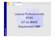 Licence Professionnelle CFAO IUT du MANS …iut.univ-lemans.fr/lp/donnees/Présentation LP CFAO 2018 2019... · -Fabrication additive métal. ... TP de mise en oeuvre sur presse d’emboutissage