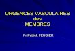 URGENCES VASCULAIRES des MEMBRES - …resuval.free.fr/FMC/FMC-17.11.22/URGENCES-VASCULAIRES-MEMBR… · Ischémie membre supérieur. Examens complémentaires ? ... –Artériographie