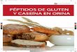 PEPTIDOS DE GLUTEN - laboratoriocalderon.com · PÉPTIDOS DE GLUTEN Y CASEÍNA EN ORINA GLUTEN Y CASEINA El gluten es una proteína presente en el trigo, cebada, avena y centeno