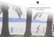 Schéma départemental cyclable - pdu-casa.frpdu-casa.fr/schema_departemental_velo_cg06.pdf · PDF filechaussée ouverte à la circulation motorisée physiquement (gazon, arbres,
