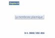 Chapitre III - التعليم الجامعيuniv.ency-education.com/uploads/1/3/1/0/13102001/cyto1an16-membr… · La membrane plasmique Chapitre III Dr A. DEKAR / 2015 -2016. 1