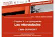 Chapitre 3 : Le cytosquelette Les microtubulescampus.cerimes.fr/media/disquemiroir/2015-06-09/UNF3Smiroir/paces... · Chapitre 3 : Le cytosquelette ... •Domaine de liaison aux microtubules