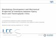 Morphology Development and Mechanical Properties … · Morphology Development and Mechanical Properties of Interfaces between Epoxy ... PEI in RTM6 at 40 ... TP film F Initial crack