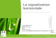 La signalisation horizontale - CoTITA .Signalisation horizontale et verticale ... Marquage Visible