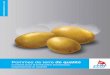 Pommes de terre de qualité - agripress.nl · cellules et l’équilibre du régime hydrique. De ce fait les pommes de terre cultivées avec un bon approvisionnement potassique consomment