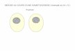 Prophase - univ.ency- .MEIOSE AU COURS Dâ€™UNE GAMETOGENESE ( exemple o¹ 2n = 6 ) Prophase M©taphase