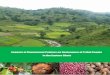 Impacts of Government Policies on Sustenance of …apenvis.nic.in/All s/COMMON/Impacts of Government Policies... · 3 Impacts of Government Policies on Sustenance of Tribal People