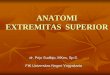 ANATOMI EXTREMITAS SUPERIOR - staffnew.uny.ac.idstaffnew.uny.ac.id/.../ANATOMI+FUNGSIONAL.pdf · ANATOMI EXTREMITAS SUPERIOR dr. Prijo Sudibjo, MKes, Sp.S. FIK Universitas Negeri