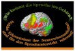 Neurodidaktik - CEBS · Partizip Perfekt im Deutschen? Können Sie die Regel anwenden? ... statt stilles Starren auf die Verbtabelle. Was passiert in diesem Gehirn?