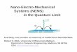 Nano-Electro-Mechanical Systems (NEMS) in the … · Nano-Electro-Mechanical Systems (NEMS) in the Quantum Limit ... Daniel Schröer University of Munich, ... Hyun-Seok Kim, Hyun-Cheol