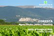 Deltafina S.p.A. Universal Leaf Europe - CORESTA … and proprietary. Not to be distributed without Universal approval. Deltafina S.p.A. Universal Leaf Europe CORESTA Agro/Phyto (AP01)