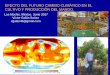 Los Mochis. México. Junio 2017 Víctor Galán Saúco … · Conductividad. estomática→↓ ... nstalación riego, control de crecimiento y floración, plantaciones a gran densidad