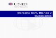 Derecho Civil, Bienes y Sucesiones - …moodle2.unid.edu.mx/dts_cursos_mdl/lic/DYCJ/DCBS/S06/DCBS06... · DERECHO CIVIL, BIENES Y SUCESIONES Lic. en Derecho y Ciencias Jurídicas