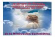 Light Of Christ Catholic Churchlocchurch.org/wp-content/uploads/2017/08/503100-08.13.2017.pdf · Light Of Christ Catholic Church 2176 Marilyn Street, Clearwater FL 33765 Fr. Bill