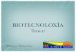 BIOTECNOLOXÍA - xuliogutierrez · • Diagnóstico por identiﬁcación de moléculas marcadoras (hormonas, marcadores de tumores, marcadores de infeccións) nos ﬂuídos corporais