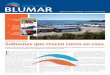Publicación interna BLUMAR | Nº 09 | III Trimestre … · respecto al flujo y calidad de los peces, con excelentes resultados y mejoras continuas en su proceso. ... un mayor control