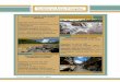 Turismo en Áreas Protegidas - Ministerio de Medio …mmaya.gob.bo/uploads/sabias/turismo_poliptico2.pdf · 2015-08-10 · Sajama, lagunas altoandinas, aguas termales y rutas de andinismo,