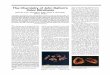 The Chemistry of John Dalton’s Color Blindnessvision.psychol.cam.ac.uk/jdmollon/papers/DaltonsEye.pdf · trichromat 1.0 1.0 1.0 400 Deuteranopia Protanopia Normal 700 Wavelength
