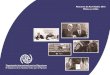 Resumen de Actividades 2016 Misión en Chilechile.iom.int/sites/default/files/PDF PUBLICACIONES/ANUARIO OIM... · 3 OIM Ingresa al Sistema de Naciones Unidas ... En los últimos años,
