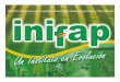 Alineacion Bovinos Carne - INIFAP Centro de … · descripciÓn de la demanda del productor nodos lÍnea estratÉgica productos a obtener opciones alimenticias para el crecimiento