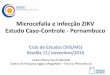 Microcefalia e infecção ZIKV Estudo Caso-Controle - …portalarquivos.saude.gov.br/images/pdf/2016/novembro/14/Caso... · Sequência ZIKV - Brasil • Exantema da fase aguda •