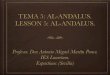 TEMA 5: AL-ANDALUS. LESSON 5: AL-ANDALUS. - .1/2/2016  Session 1: Al-Andalus political history