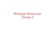 Biologia Molecular (Parte I) - cursodac.com.br · Propriedades da água Polaridade Solvente Universal Participa de reações químicas vitais Adesão e Coesão Calor específico elevado