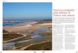 Espacios protegidos para disfrutar la Galicia más naturalrevista.destinorural.com/pdf/DR01/galicia-aves.pdf · Actualmente son quince los lugares que, atendiendo a las diferentes