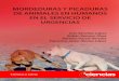 MORDEDURAS Y PICADURAS DE ANIMALES EN … · 1.2. Resumen Estudios encontrados en varias plataformas científicas advierten de la necesidad de sutura primaria en mordeduras de perro