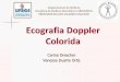 Ecografia Doppler Colorida - ufrgs.br   Ecografia Doppler Colorida Carina Drescher Vanessa Duarte