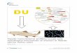 Hepatic transcriptomic profiling reveals early ... · Hepatic transcriptomic profiling reveals early toxicological mechanisms of uranium in Atlantic salmon (Salmo salar) Song et al