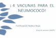 ¡ 4 VACUNAS PARA EL NEUMOCOCO! - …projectes.camfic.cat/CAMFiC/Seccions/GrupsTreball/Docs/Germiap/... · Diapositiva cedida por ... –Enfermedad invasora está entre el 49-91%