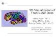 3D Visualization of FreeSurfer Data - Slicer · 3D Visualization of FreeSurfer Data Sonia Pujol, Ph.D. Silas Mann, ...  ... This tutorial requires the …