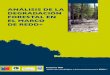 ANÁLISIS DE LA DEGRADACIÓN · La deforestación y degradación de los bosques de Chile.....22 Causas de la alteración y ... Causas de la degradación de los bosques nativos Andino