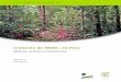 Contexto de REDD+ en Perú - cifor.org · 2.3 Los principales motores de los cambios en la cobertura forestal 9 2.4 El potencial de mitigación 18 ... CIF Fondo de Inversión Climático