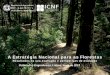 A Estratégia Nacional para as Florestas - … · Florestal (PASF): para dar impulso aos ... Mudanças de Contexto e Novos Riscos: alterações climáticas, ... Matriz estruturante