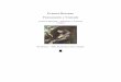 - files.comunidades.netfiles.comunidades.net/portaldoespirito/10__Pensamento_e_Vontade... · El Greco - São Francisco em ... vas de Van-Helmont a respeito das propriedades objetiváveis