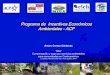 Programa de Incentivos Económicos Ambientales -ACPelti.fesprojects.net/.../PDFs/...ambientales_-_acp_-_arturo_cerezo.pdf · Contenido • Panamá, el Canal, capacidad y sostenibilidad