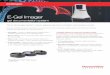 E-Gel Imager - Thermo Fisher Scientific · The E-Gel Imager System makes agarose gel documentation and analysis simple A ﬂ exible system to meet your workﬂ ow needs The Invitrogen