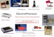 Electrophoresis -EGel and Transilluminators - …users.stlcc.edu/departments/fvbio/Electrophoresis.pdf · E-Gel Powerbase FOTO/Phoresis Fotodyne wThermal Printer ... Pre-Cast Agarose
