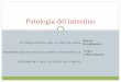 Patología del intestino - CFGS Dietética IES "El Getares" · Se emplean en el tratamiento de los brotes agudos de la enfermedad, sobre todo en los de intensidad moderada-grave
