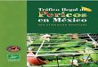 TRÁFICO ILEGAL - PericosMexico.orgpericosmexico.org/pdf/ReporteFinalEspanol.pdf · era considerado como el motor del tráfico ilegal. Ahora, México debe resolver el problema inter-namente