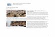 The Getty Conservation Institute Field Trip Report …fleblanc/projects/2001-2007_GCI/field_trip... · Metodología y aplicaciones para intervenciones en retablos de madera policromada
