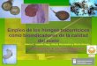Presentación de PowerPoint -  · Tenerife, Islas Canarias, España SEAE . Las comunidades microbianas del suelo son ... Las interacciones de las propiedades físicas, químicas,