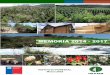INSTITUTO FORESTAL Marzo 2018 - infor.cl INFOR 2014-2017.pdf · Líneas de Investigación 45 Inventario Forestal Continuo 45 . Adaptación y Mitigación al Cambio Climático 46 Bosques