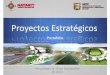 Proyectos Estratégicos - nayarit.gob.mx · Potencial Forestal ‐Silvícola, Ganadero, Minero, ... con la capital del Estado y con el centro ... y dar continuidad al Programa de